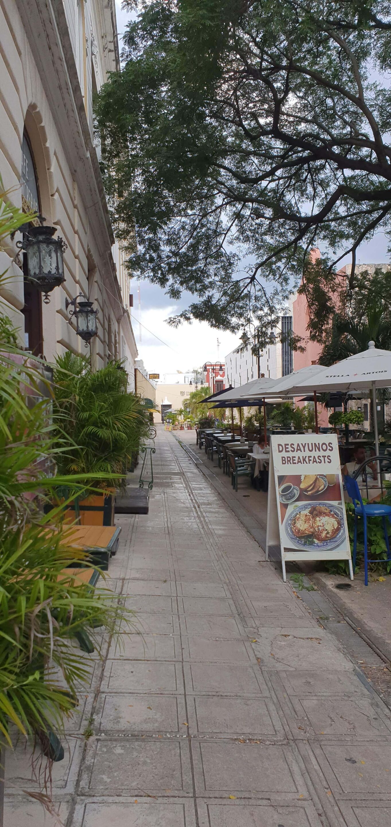 Foto de Hermosas calles en Mérida Yucatán